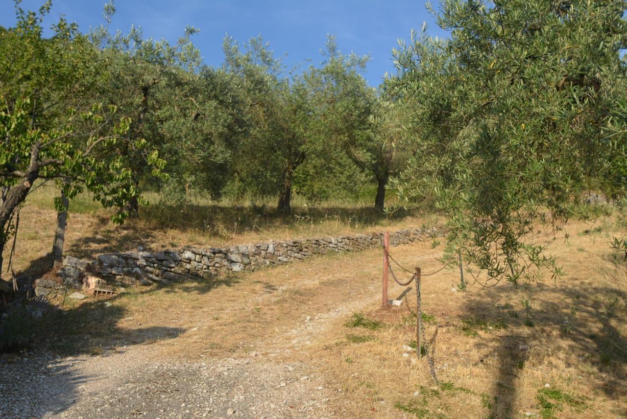 Villa Mischianti Gubbio Exterior foto